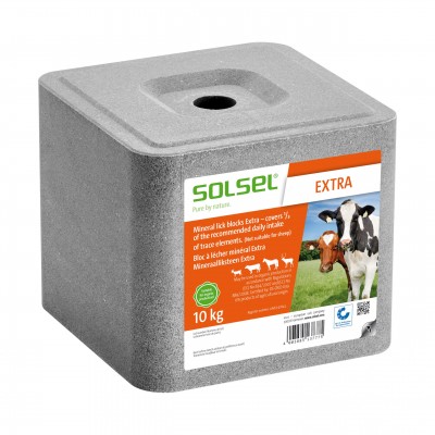Kamen solni SOLSEL Extra 10kg