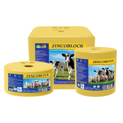 SOLNI KAMEN ZINCOBLOCK 5kg